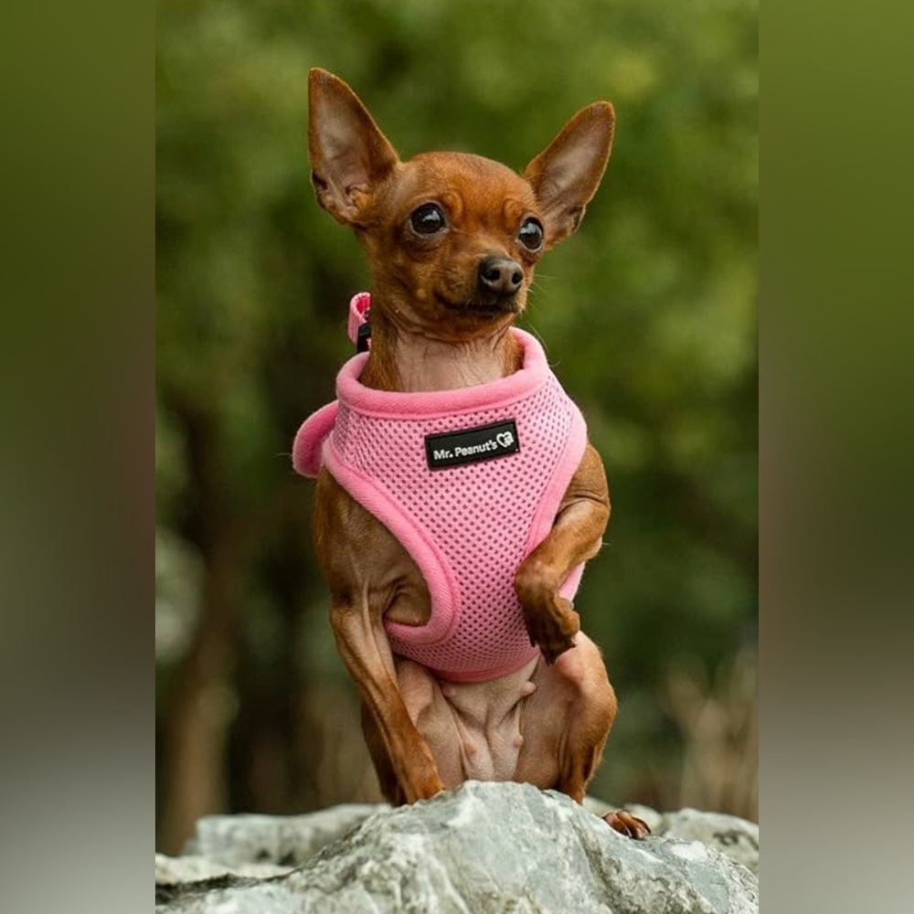 Mr. Peanut's Pink Pet Harness XS Dogs (2-4 pounds)